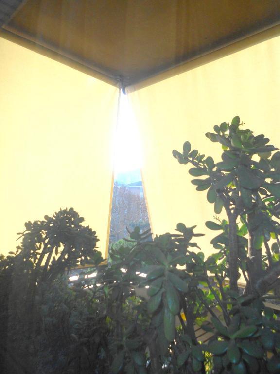 A Casa Chiecchi B&B Rome Exterior photo